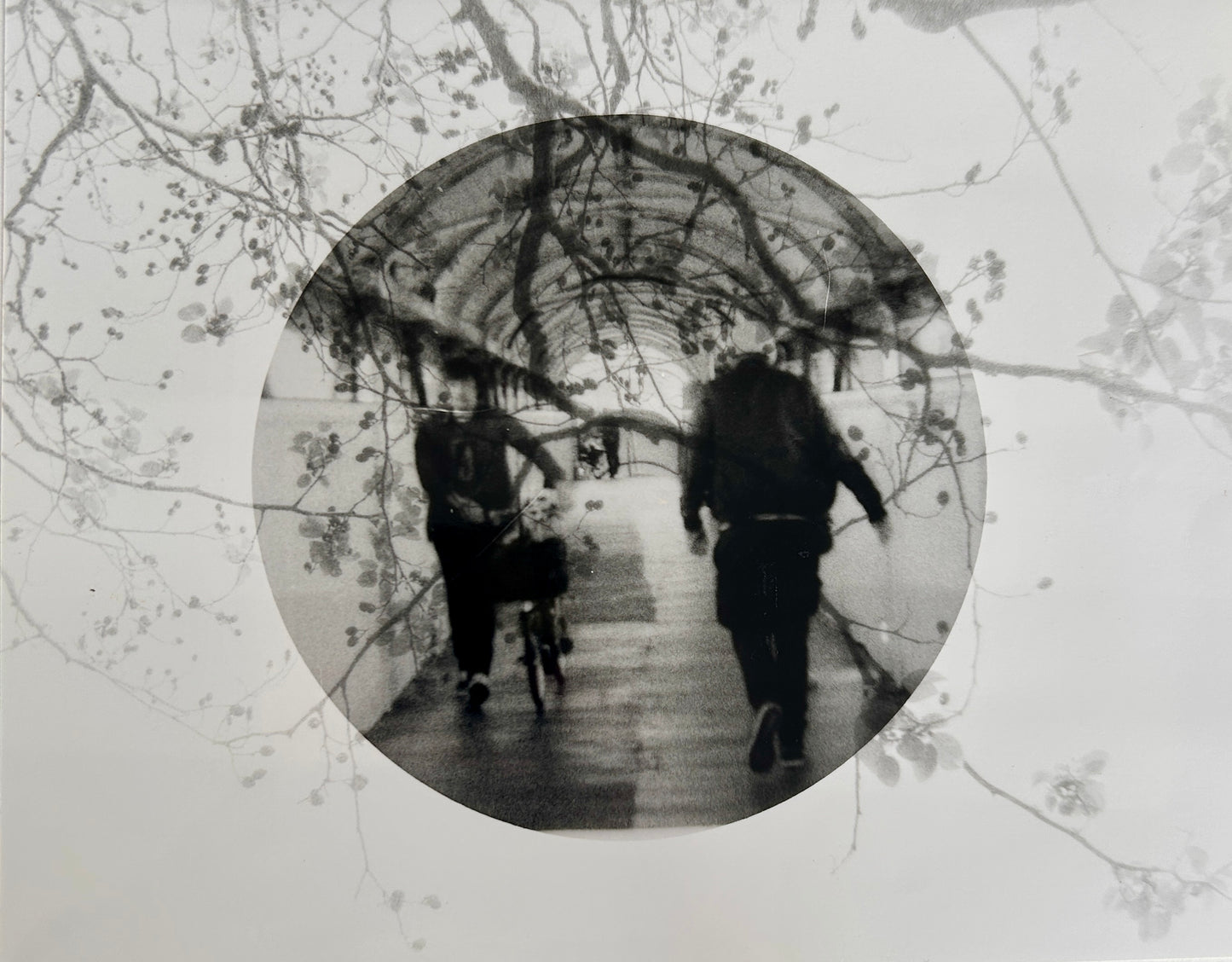 Falling Trams - Limited Edition Print